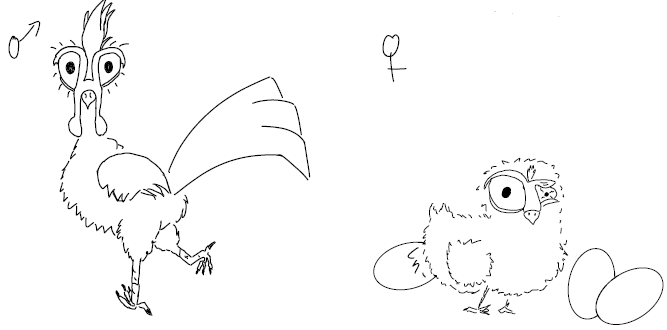 Datei:Galluslocrianus.png