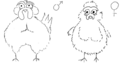 Gallusconcarnicus.png